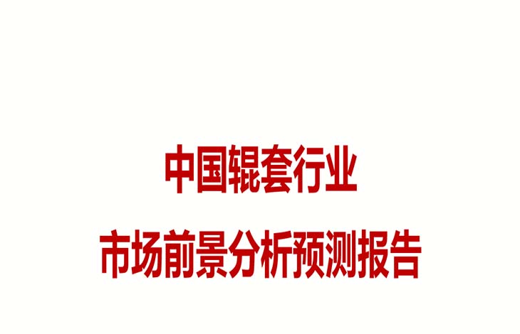 【润康】分析中国高铬辊套行业市场前景预测报告